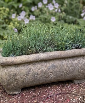 Catalan Stone Garden Trough