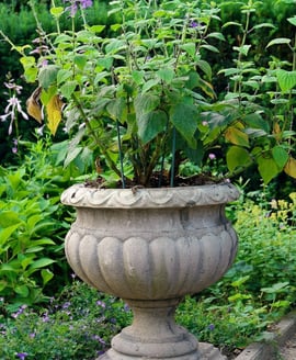 Buckingham Stone Garden Urn