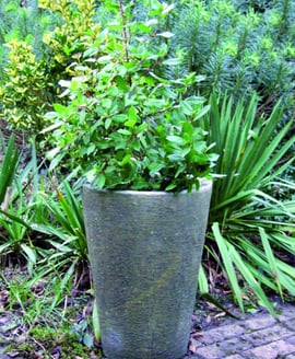 Grand Long Tom Stone Garden Pot