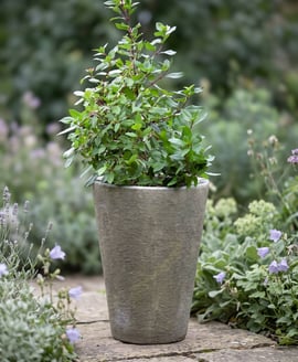 Grand Long Tom Stone Garden Pot