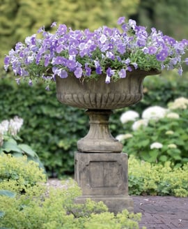 Grand Victorian Stone Garden Tazza