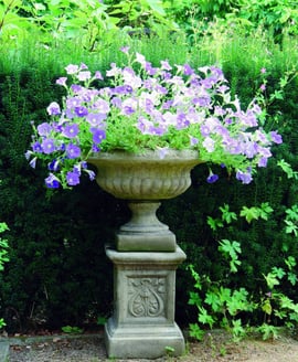 Medium Victorian Stone Garden Tazza