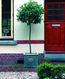 Tudor Rose Stone Garden Urn