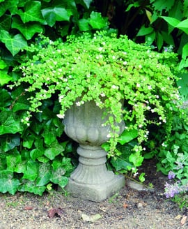 Vienna Classic Stone Garden Vase