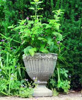 Vienna Leaf Stone Garden Vase