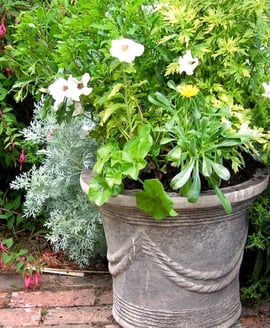 Vienna Twine Stone Garden Vase