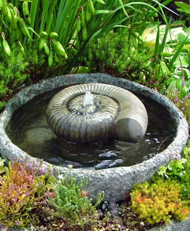 Large Ammonite Stone Fountain