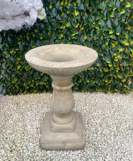 Edwardian Birdbath in Stone
