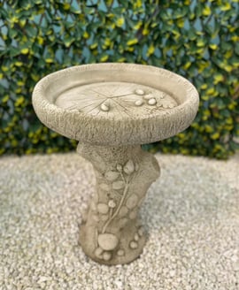 English Rose Birdbath in Stone