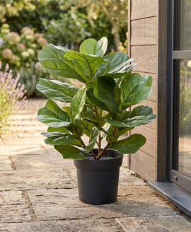 56cm Artificial Potted Ficus Lyrata