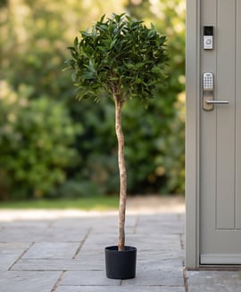 Artificial Bay Laurel Ball Tree 135cm