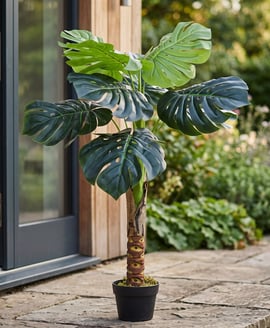 Artificial Caladium 110cm