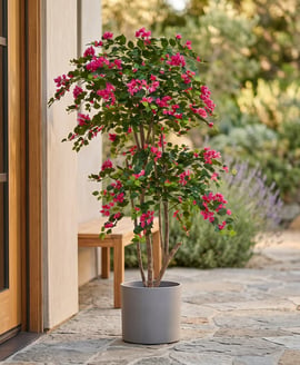 Artificial Flowering Bougainvillea Pink 180cm