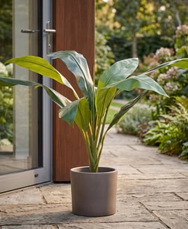 Artificial Foliage Cordyline Green 74cm Fire Retardant