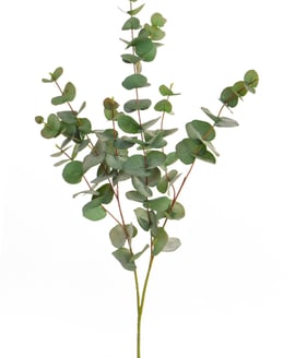 Artificial Eucalyptus Green 100cm