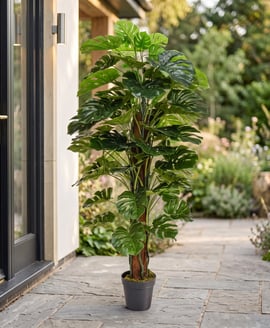 Artificial Monstera 150cm