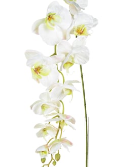 Artificial Orchid Phalaenopsis Large White Pink 130cm