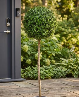 Artificial Topiary New Buxus Ball Tree 150cm UV Resistant