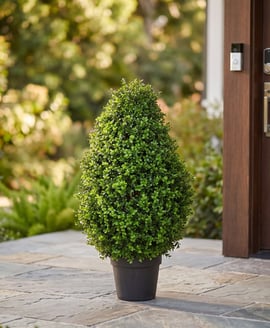 Artificial Topiary New Buxus Tower 60cm UV Resistant