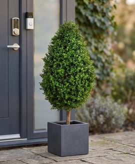 Artificial Topiary New Buxus Tower 90cm UV Resistant