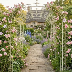 Garden
      Arches