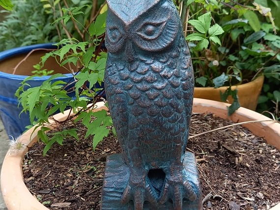 Long Eared Owl Garden Ornament Small