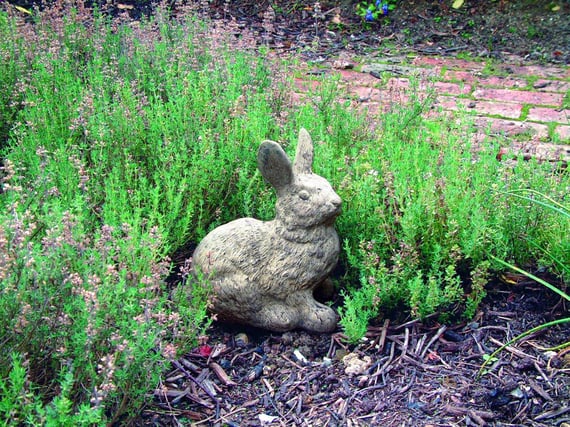 Cottontail Rabbit Statue