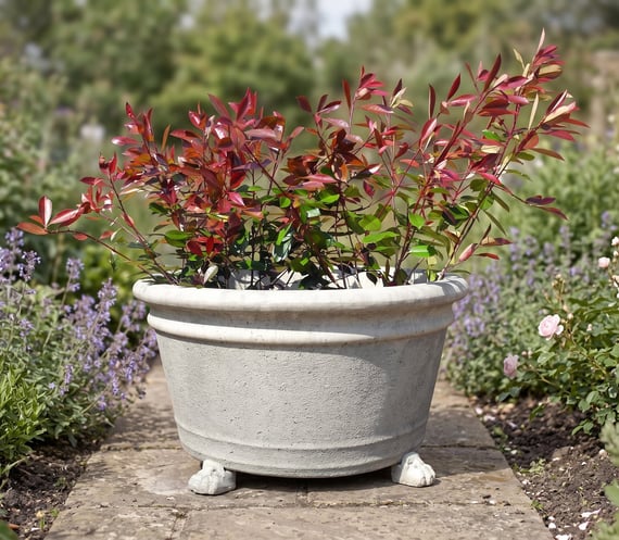 Grand Stone Garden Flower Pot