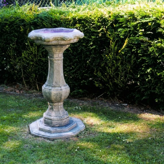 Ornate Pedestal Stone Birdbath