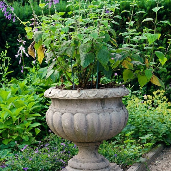 Buckingham Stone Garden Urn