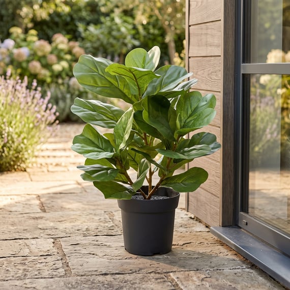 56cm Artificial Potted Ficus Lyrata