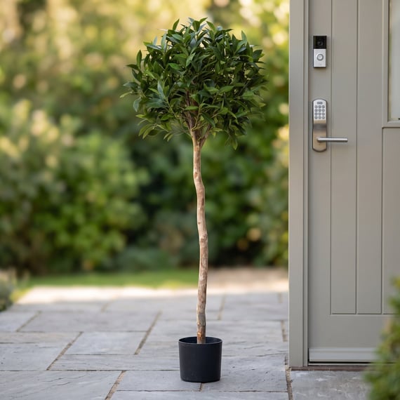 Artificial Bay Laurel Ball Tree 135cm
