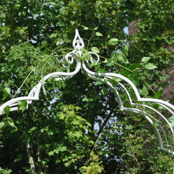 Cream Vintage Antiqued Metal Garden Arch - close-up of ornate scrollwork detail