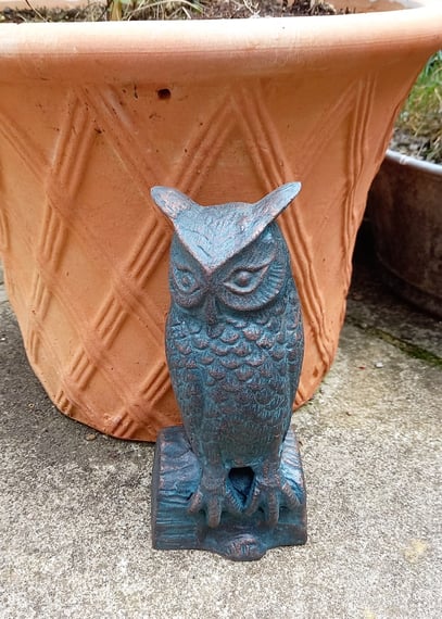 Long Eared Owl Garden Ornament