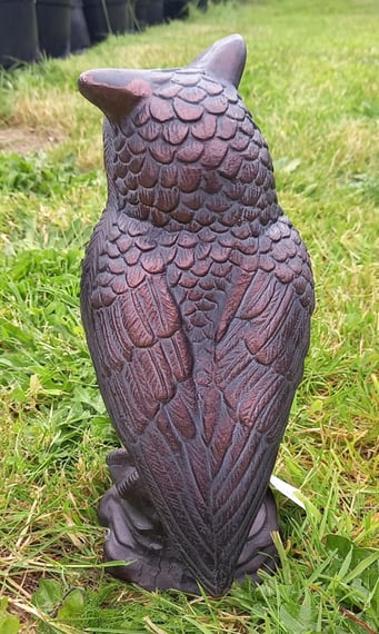 Long Eared Owl Garden Statue Large
