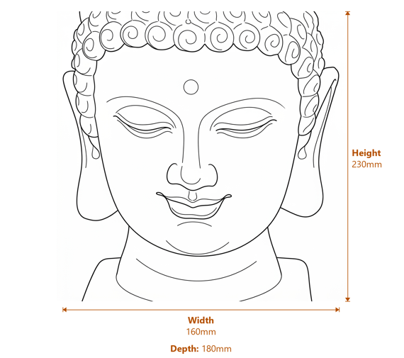 Medium Buddha Head Garden Statue in White Dimensions Diagram