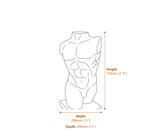 Male Torso Garden Statue Dimensions Diagram