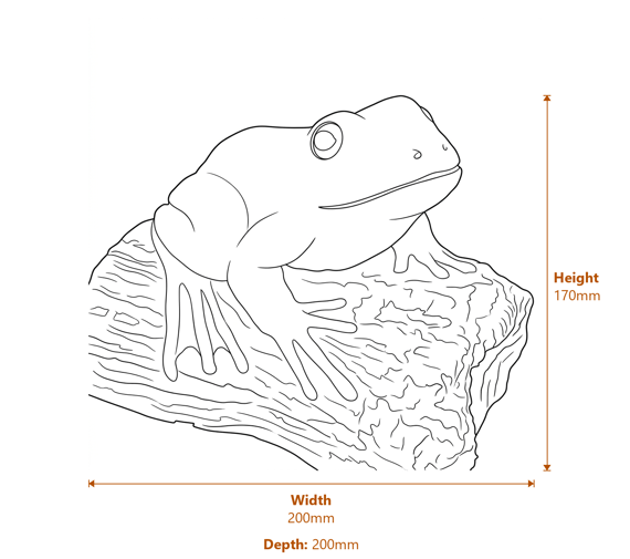 Frog on a Log Ornament dimensions diagram showing 200mm width 200mm depth 170mm height