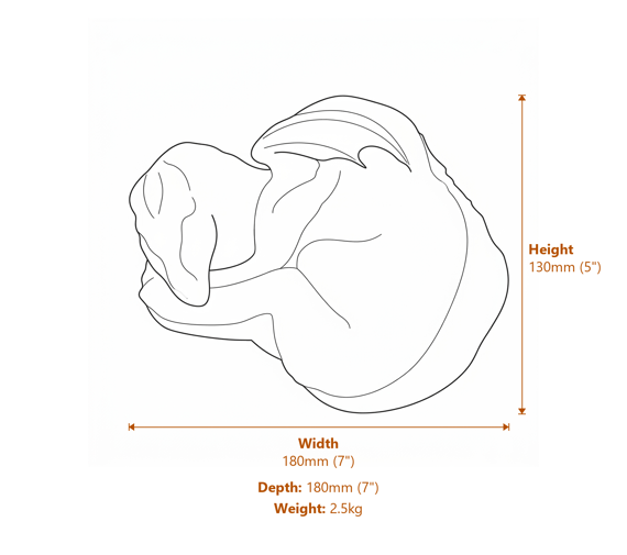 Sleeping Dragon Stone Garden Ornament in Stone Dimensions Diagram