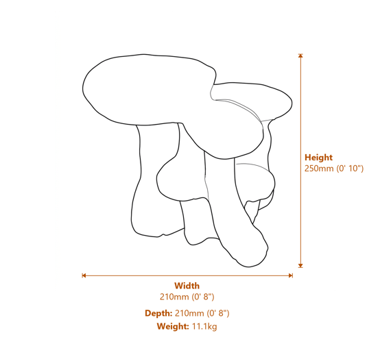 Large Mushroom Family Garden Ornament in Stone Dimensions Diagram