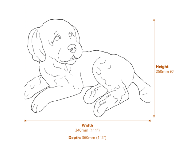 Lying Cockapoo Garden Ornament in Bronze Finish Dimensions Diagram