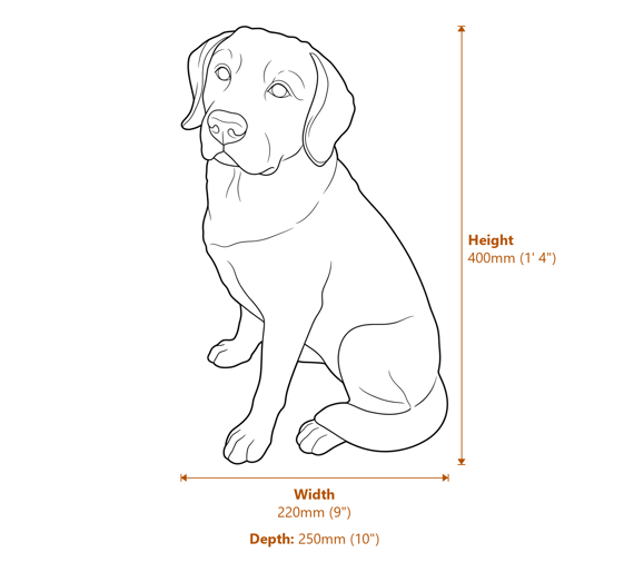 Small Labrador Garden Ornament in Bronze Finish Dimensions Diagram