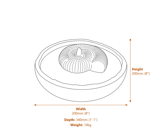 Large Ammonite Stone Fountain Dimensions Diagram