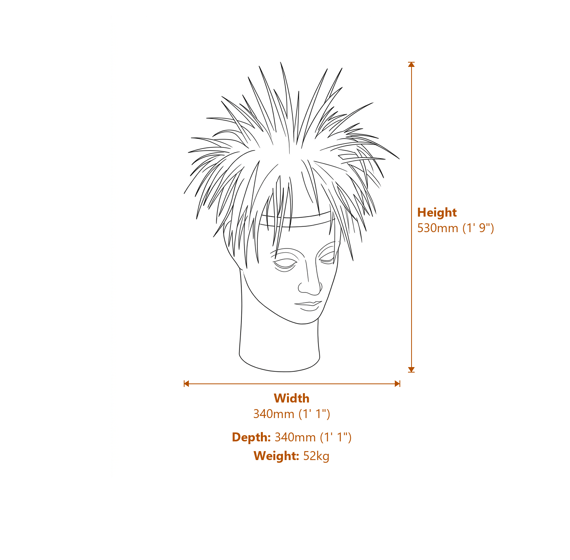 Gaia Head Vase  Dimensions Diagram