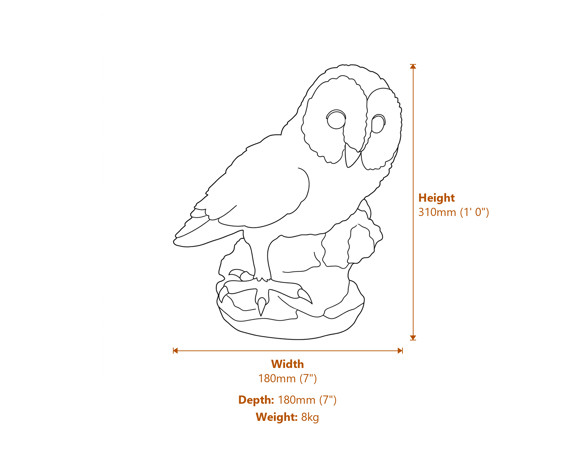 Tawny Owl Statue Dimensions Diagram