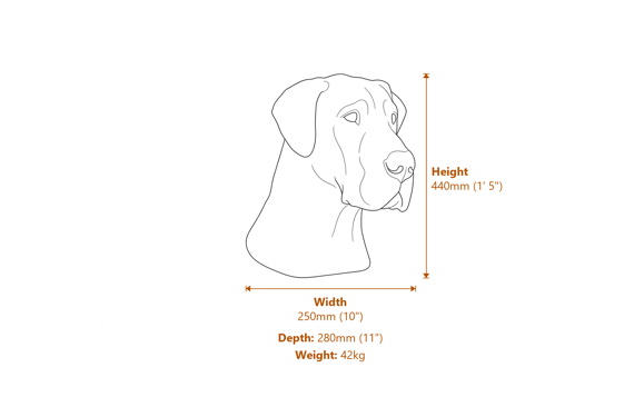 Great Dane Stone Head Dimensions Diagram