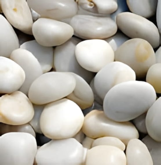 White Polished Pebbles for Garden Water Features