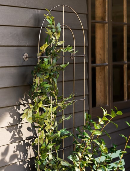Barrington Wall Trellis Large Raw Metal Climbing Roses
