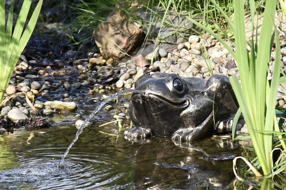 Toad Fountain Metal Garden Ornament Original Product Photo