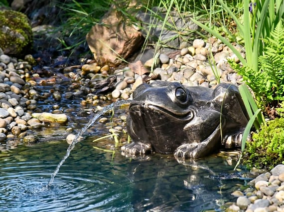 Toad Fountain Metal Garden Ornament in a Natural Pond Setting